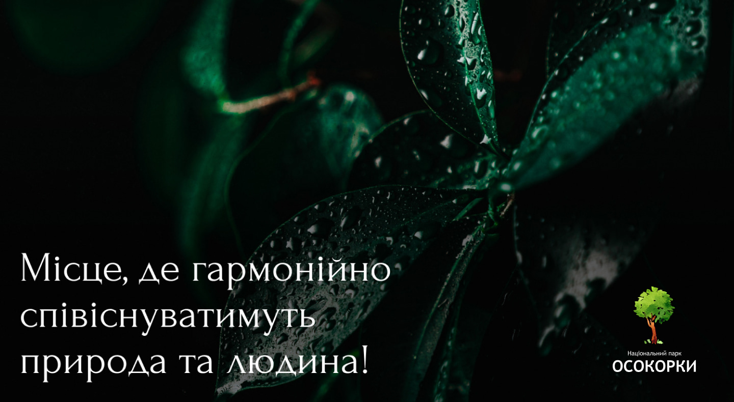 Прев'ю проєкту