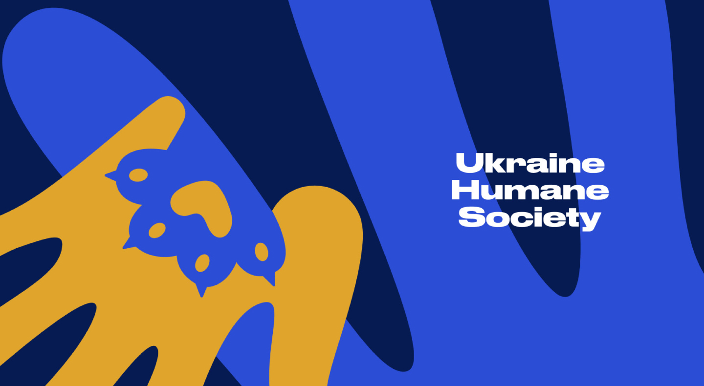 Прев'ю проєкту